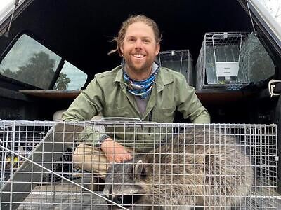 Greensboro pest control